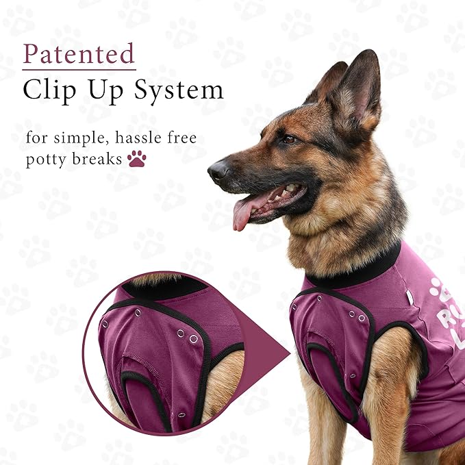 BellyGuard Recovery Suit for Dogs, After Surgery Dog Recovery Suit Female and Male, Soft Cotton Dog Surgery Suit Female Spay, Dog Surgical Recovery Suit Male Neuter, Comfy Surgical Onesie for Dogs.