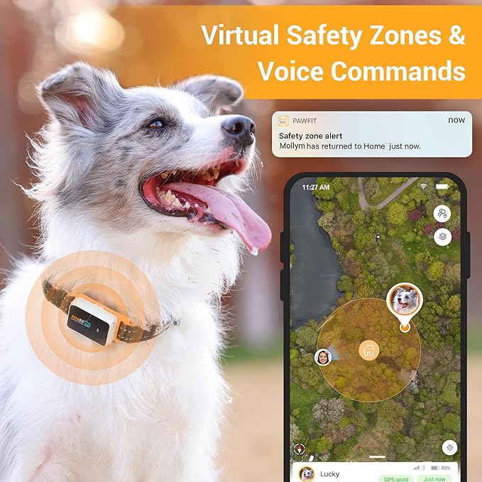 3 GPS Pet Location and Activity Tracker for Dogs |Smart and Affordable Safety and Health Solution| Live Location Tracking| Unlimited Range| Escape alerts | Remote Voice Recall|100% Waterproof