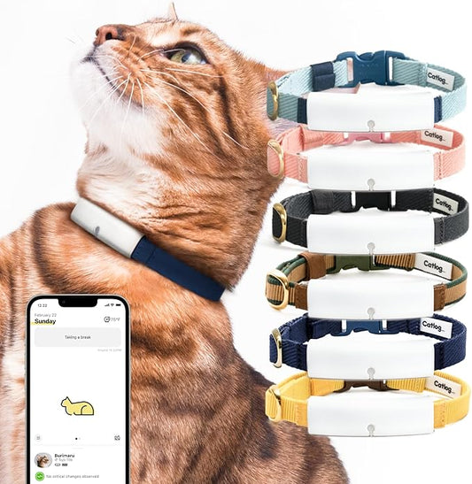 Smart Collar (Blue × White, XL) - Smart Collar with a Breakaway Buckle, Healthcare Tracker for Indoor Cat, Live Behavior Tracking, Loss of Energy Alerts