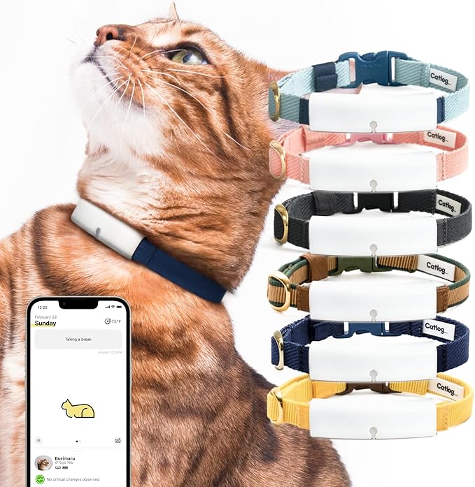 Smart Collar (Blue × White, L) - Smart Collar with a Breakaway Buckle, Healthcare Tracker for Indoor Cat, Live Behavior Tracking, Loss of Energy Alerts