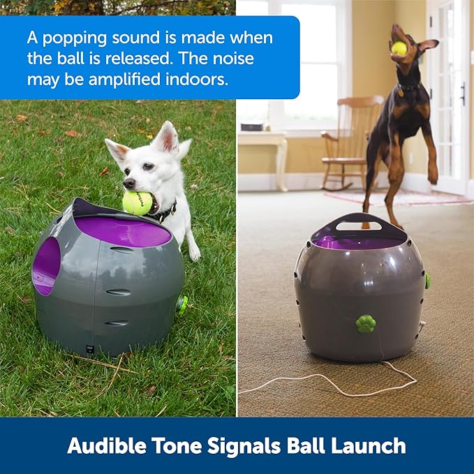 PetSafe Automatic Ball Launcher - Interactive Dog Toy for Enrichment - Tennis Balls Included - Motion Sensor Promotes Safe Play - Indoor & Outdoor - Adjustable Range - A/C Adaptor or Batteries