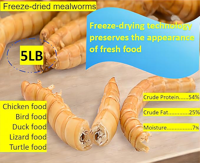 5lb Freeze-Drying Mealworms – High Protein, Pure Natural, Delicious - Ideal for Chickens, Birds, Ducks, Lizards, Turtles, Fish, and Reptiles, 5lb Meal Worms