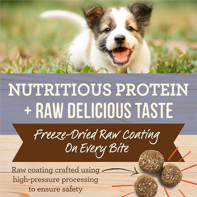 Merrick Healthy Grains Freeze Dried Raw Coated Kibble, Natural High Protein Puppy Food, Chicken and Brown Rice - 10.0 lb. Bag