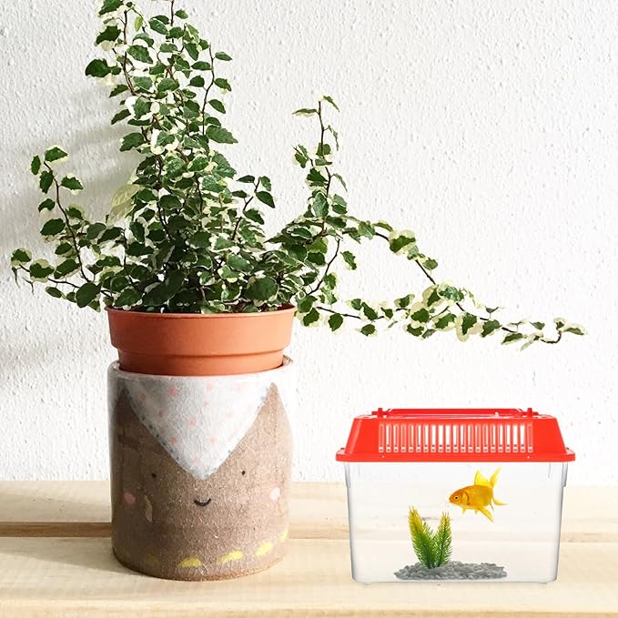 Baluue Portable Fish Tank, Handheld Fish Tank, Plastic Mini Fish Box, Transparent Cutout Design, Plastic Aquarium with Handle for Turtle and Pet Fish ((Red- Lid for Random))