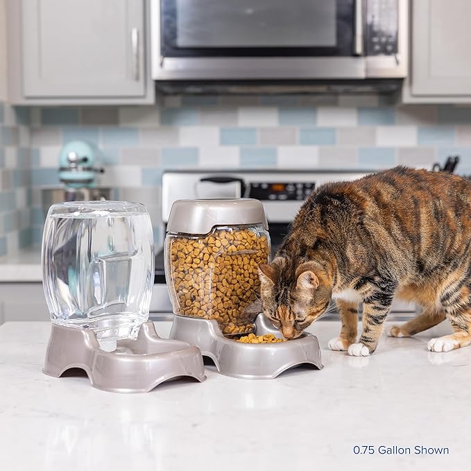 Petmate Pet Cafe Waterer Cat and Dog Water Dispenser 4 Sizes, Pearl White, Made in USA