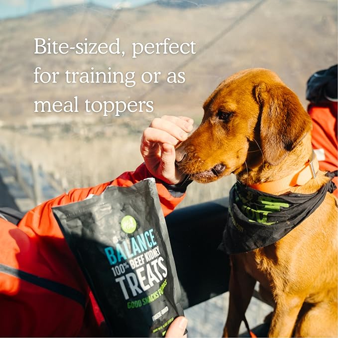 Freeze Dried Superfood 100% Beef Kidney Dog Treats, 4 Ounce Bag, Single Ingredient Organ Meat, High Protein, Immune Health, Muscle Repair, Grain Free, Gluten Free, Made in USA