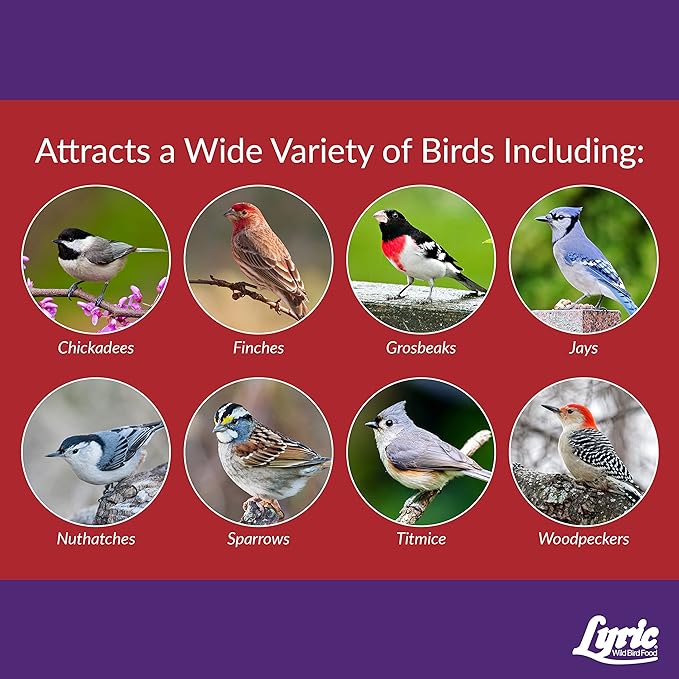 Lyric Delite Wild Bird Seed - No Waste Bird Food Mix with Shell-Free Nuts & Seeds - Attracts Buntings, Chickadees & Finches - 5 lb bag