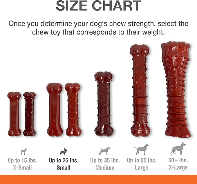 Nylabone Power Chew Classic Bone Chew Toy for Dogs, Durable Dog Toys for Aggressive Chewers, Basted Blast Bacon & Steak Flavor, Small/Regular (2 Count)