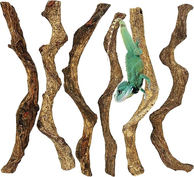 Reptile Climbing Branch Decor Wood Snake Terrarium Branches 6 Pack Lizard Habitat Decorations Natural Forest Tree Trunk Ornament for Bearded Dragon Geckos Chameleon Frog (14-16 inch)