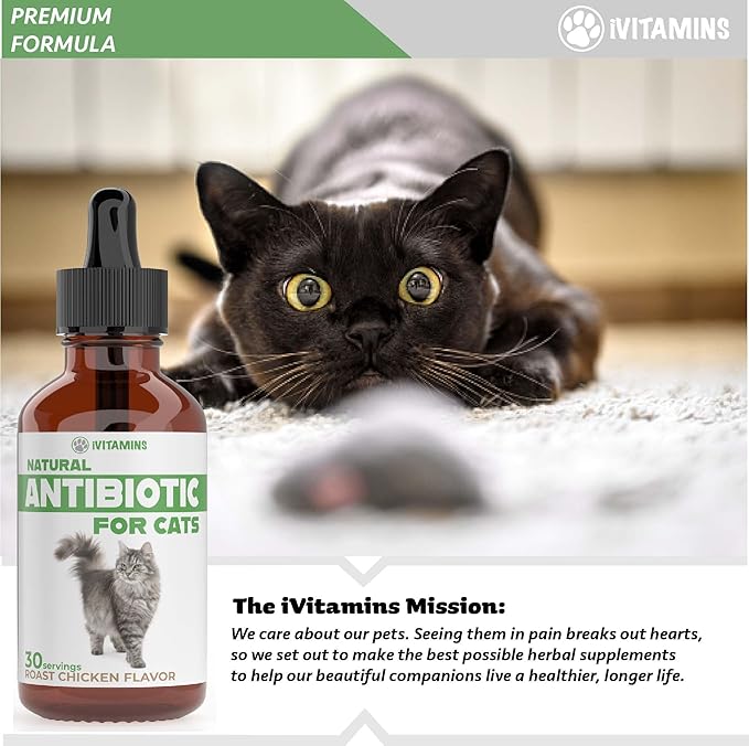 Natural Alternative Cat Antibiotic | Cat Antibiotics | Antibiotics for Cats | Antibiotic for Cats | Cat Antibiotics for UTI | Cat UTI | Cat UTI Treatment | Cat UTI Antibiotics | 1 fl oz (1)