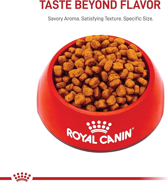 Royal Canin Yorkshire Terrier Adult Dry Dog Food, 2.5 lb bag