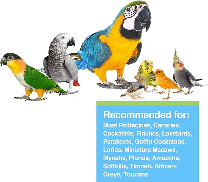 Hari Hagen Prime Parrot Vitamin, Mineral and Amino Acid Supplement for Seed Eating Birds, 1.1 oz