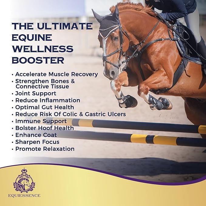 120 Day Supply - Vital Amino Blend - Horse Supplements - 9 Essential Amino Acids - No Fillers, No Sugar, No Soy - Horse Care - Horse Joint Supplement - Horse Hoof Supplements - Coat Care for Horses