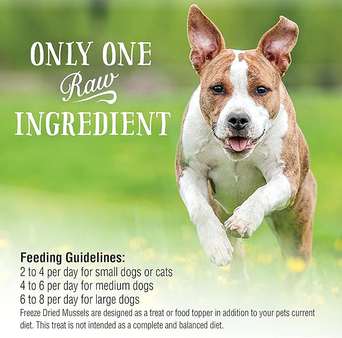 Northwest Naturals Raw Rewards Freeze-Dried Green Lipped Mussel Treats for Dogs and Cats - Bite-Sized Pieces - Healthy, 1 Ingredient, Human Grade, Natural - 2 Oz (Pack of 3) (Packaging May Vary)