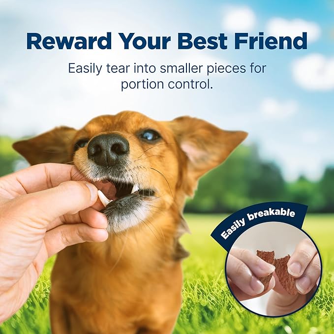Blue Buffalo Nudges Jerky Cuts Dog Treats, Made in the USA with Natural Ingredients, Chicken & Duck, 16-oz. Bag