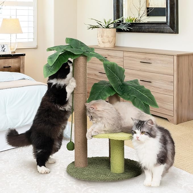 Cat Scratching Post with Flower Bed Cute Cat Scratcher with Sisal Dangling Ball Small Cat Tree for Indoor Cats Perch Cat Tower for Large Adult Cats and Kittens