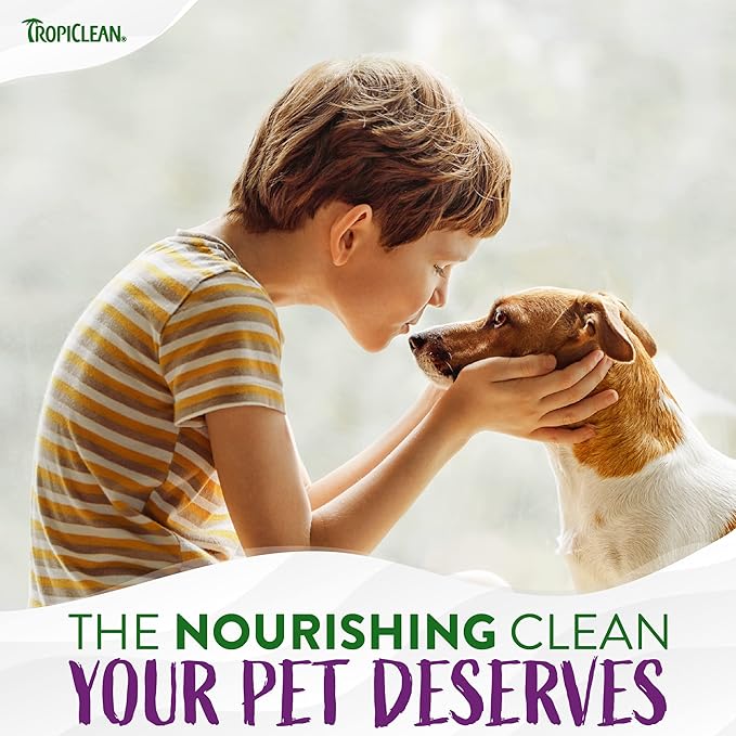TropiClean Pure Plum Dog Perfume Spray Long Lasting | Naturally Derived Odor Removing Dog Deodorizing Spray | Cat Friendly | Made in USA | 8 oz.