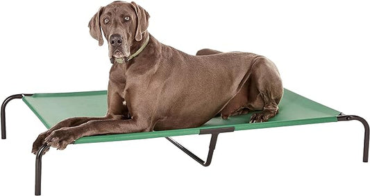 Amazon Basics Cooling Elevated Dog Bed with Metal Frame, X-Large, 60 x 37 x 9 Inch, Green