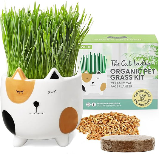 The Cat Ladies Cat Grass for Indoor Cats, Cat Grass Growing Kit with Organic Cat Grass Seed Mix, Soil and Ceramic Cat Planter, Pet Grass for Cats, Natural Hairball Remedy, Cat Gifts