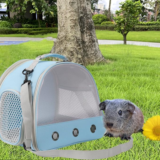 Ventilation Carrier,Bearded Dragon Carrier,Guinea Pig Carrier,Guinea Pig Carrier for 2,Reptile Travel Carrier for Lizards Sugar Glider Hedgehog Rat Parrot Birds,Airline Approved (Blue, Mesh Carrier)