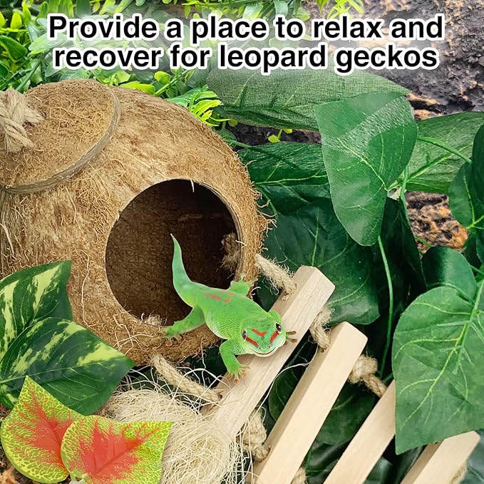 Hamiledyi Crested Gecko Tank Accessories,Reptile Vines Plants with Coconut Shell Ladder Hideout Hut Hermit Crab Decor Hammock for Bearded Dragon Lizard Chameleon Tortoise Snake Play Rest