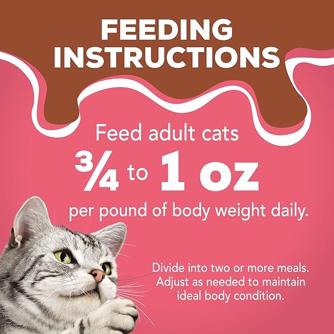 Purina Friskies Wet Cat Food Extra Gravy Pate With Salmon in Savory Gravy - (Pack of 24) 5.5 oz. Cans