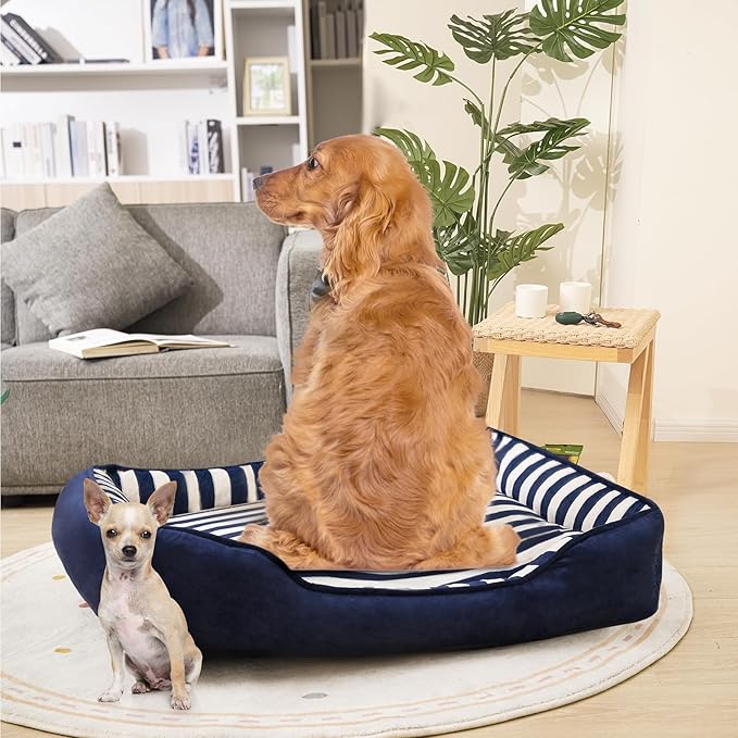 Dog Beds Large Sized Dog, Large Dog Beds with Orthopedic Memory Foam Dog Beds, Pet Beds for Large Dogs, Dog Bed with Removable Washable Cover, Blue & White Color, L, 40" L X 31" W X 6" Th