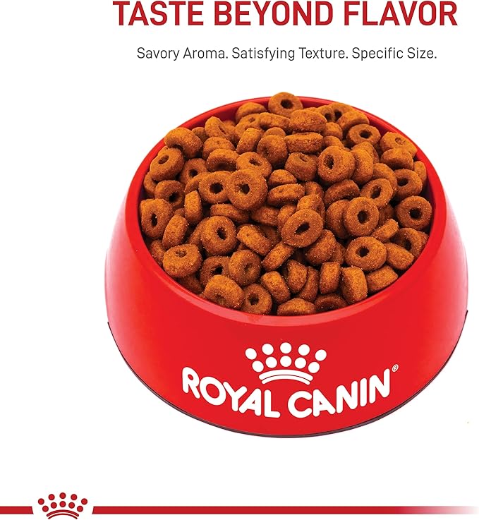 Royal Canin Large Aging 8+ Senior Dry Dog Food, 30 lb bag