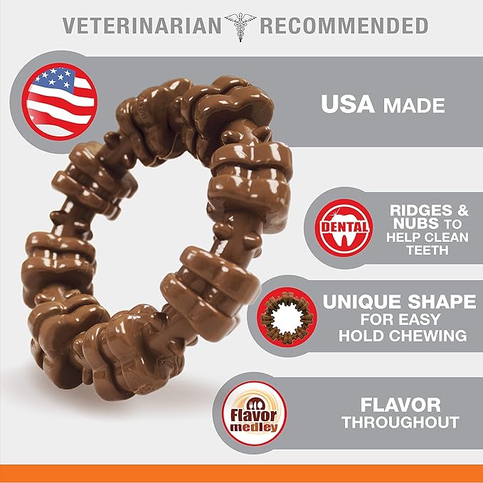 Nylabone Power Chew Textured Dog Chew Ring Toy - Tough and Durable Dog Chew Toy for Aggressive Chewers - Flavor Medley, Small/Regular (1 Count)