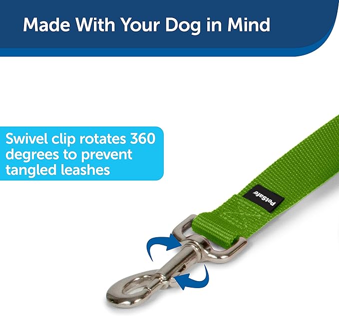 PetSafe Nylon Dog Leash - Strong, Durable, Traditional Style Leash with Easy to Use Bolt Snap - 1 in. x 6 ft., Apple Green