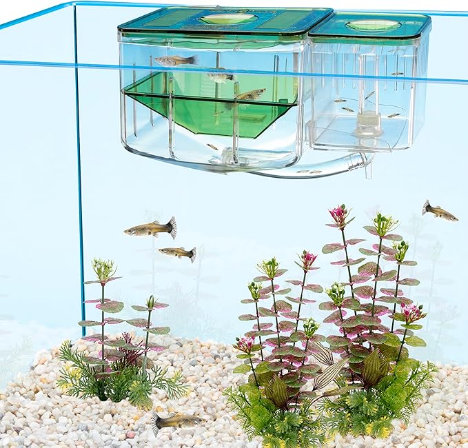 Penn-Plax AN2 Aqua Nursery and Hatchery Breeding Box for Your Aquarium - Help Protect Baby Fish from Predators