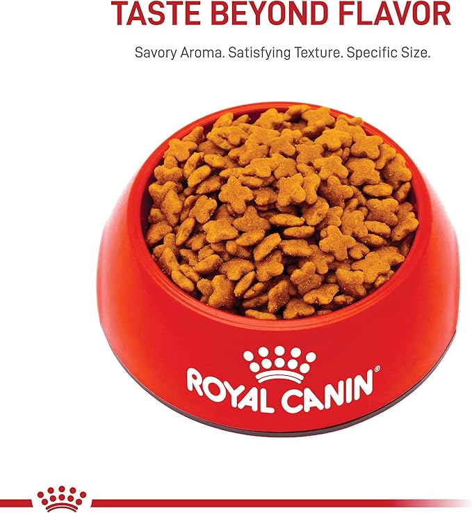 Royal Canin Small Breed Adult Dry Dog Food, 2.5 lb bag