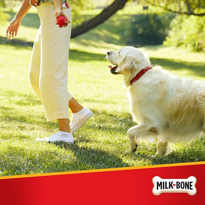 Milk-Bone Pill Pouches Dog Treats, Real Chicken Flavor, 6 Ounce (Pack of 5)