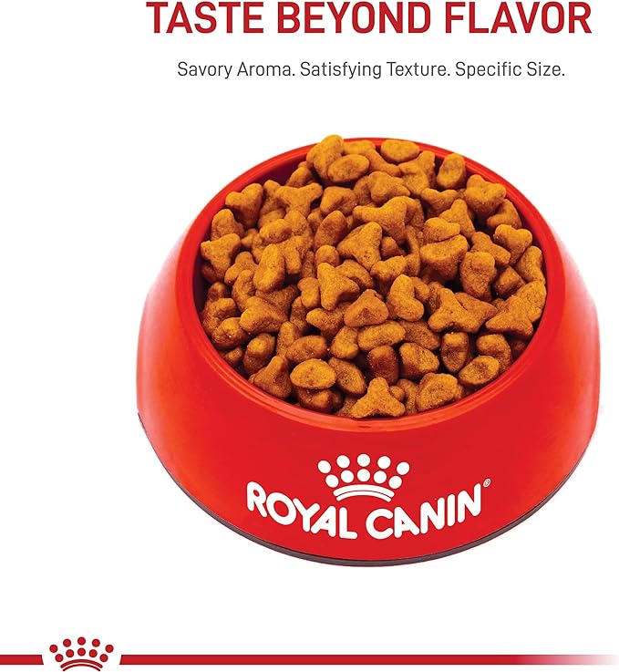 Royal Canin Pug Adult Breed Specific Dry Dog Food, 10 lb bag