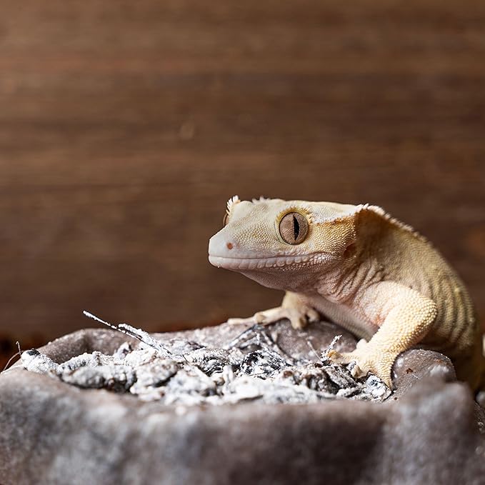 Natural Eggshell Calcium Supplement for Reptiles - Pure, D3-Free Formula for Optimal Health - Unique Eggshell Source, High Absorption, Safe & Effective - Ideal for Reptile Wellness