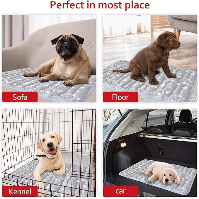 Dog Crate Mat (30" X 19") 2 Pack, Soft Dog Bed Mat with Cute Prints, Personalized Dog Crate Pad, Anti-Slip Bottom, Machine Washable Kennel Pad, Grey