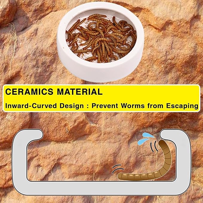 2Pcs Mini Reptile Food Dish Bowls Worm Water Dish Feeder Lizard Gecko Ceramic Pet Bowls with Tongs for Tortoise Lizard Bearded Dragon Frog Leopard Gecko Snake Chameleon(Large, 3.9 Inch)