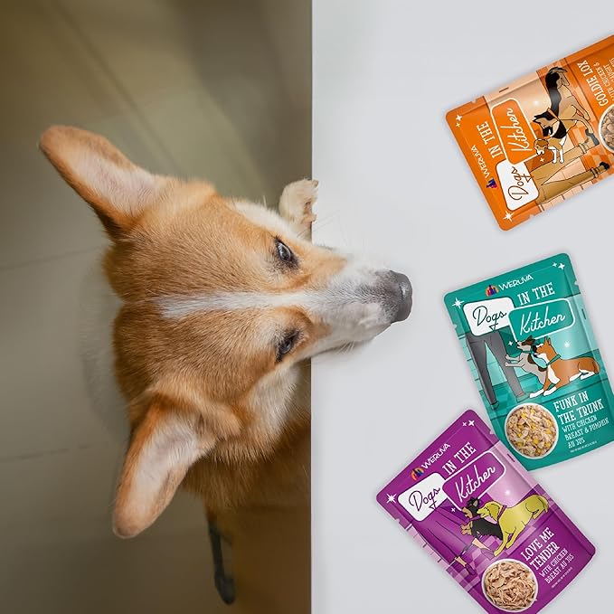 Weruva Dogs in The Kitchen, Love Me Tender with Chicken Breast Au Jus Dog Food, 2.8oz Pouch (Pack of 12), Purple