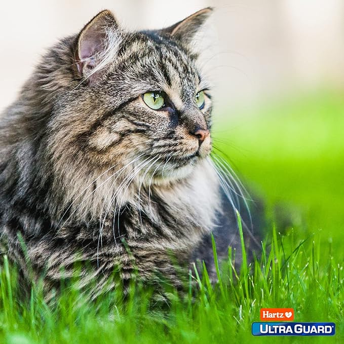 Hartz UltraGuard Topical Flea & Tick Prevention for Cats and Kittens - 3 Monthly Treatments