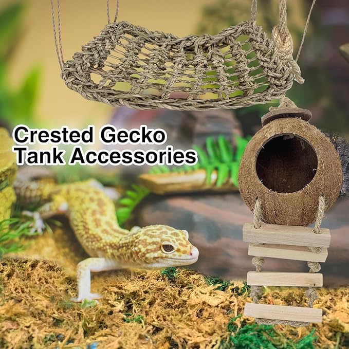 Hamiledyi Crested Gecko Tank Accessories,Reptile Vines Plants with Coconut Shell Ladder Hideout Hut Hermit Crab Decor Hammock for Bearded Dragon Lizard Chameleon Tortoise Snake Play Rest