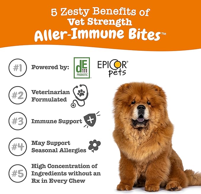 Zesty Paws Dog Allergy Relief - Anti Itch Supplement - Omega 3 Probiotics for Dogs - Digestive Health - Soft Chews for Skin & Seasonal Allergies - with Epicor Pets – VS - Cheese - 90 Count