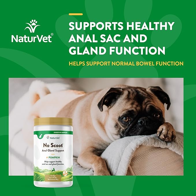 NaturVet - No Scoot for Dogs - Plus Pumpkin - Supports Healthy Anal Gland & Bowel Function - Enhanced with Beet Pulp & Psyllium Husk (5.4oz Powder)