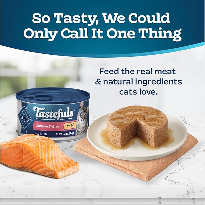 Blue Buffalo Tastefuls Natural Wet Cat Food Cans, Paté Style, Salmon Entrée 3-oz Cans (Pack of 4)