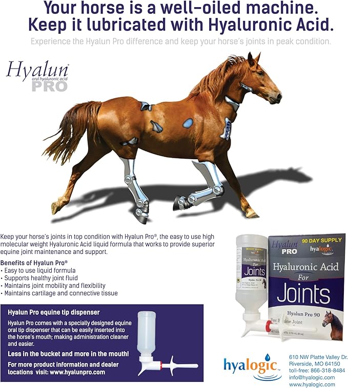 Hyalogic Hyaluronic Acid Horse Joint Supplement– 30 Day Supply Joint Support – Easy to Administer Hyalun 30mg Pure Hyaluronic Acid (HA) Equine Joint Supplement & Cartilage Supplement