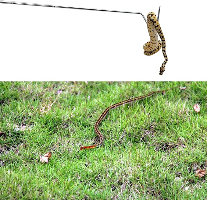 Portable Mini Snake Hook Collapsible Stainless Steel Snake Tongs and Reptile Supplies Hook Retractable Catching Snake Handling Tool 16cm to 68cm