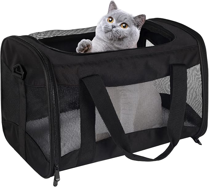 Cat Carrying Case - Pet Carrier Airline Approved, Protable and Breathable Pet Travel Carrier Removable Fleece Pad, Collapsible Cat Carrier Dog Carrier for Medium Cats Small Cats Dogs(Medium, black)