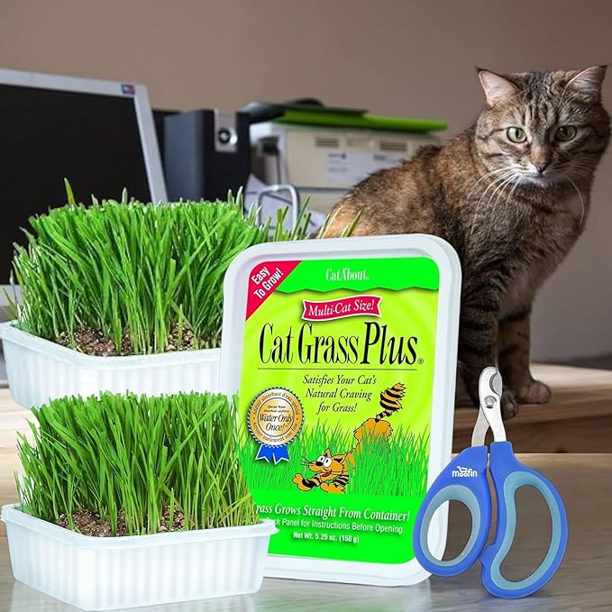 Cat Grass Plus Kit, 528 Oz Bundled With Pet Nail Clipper, Grow Lush Indoors, With Seeds Potting Mix, Promotes Digestion Prevents Hairballs - [Pack Of 3]