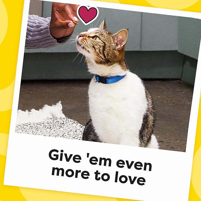 Temptations Jumbo Stuff Crunchy and Soft Cat Treats, Savory Salmon Flavor, 14 oz. Tub (Pack of 2)