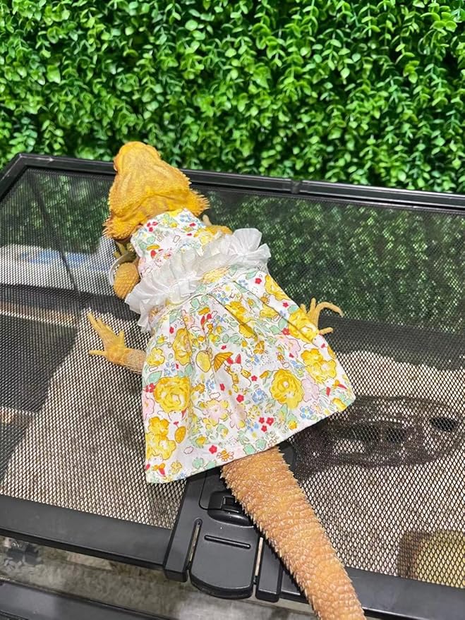 Lizard Dress for Bearded Dragon - Handmade Cotton Tutu Skirt with Lace Princess Sundress Halloween Costume Photo Cosplay Party for Reptile Lizard Bearded Dragon Crested Gecko Chameleon (M, Yellow)