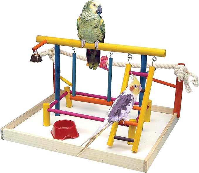 Penn-Plax Bird Life Wooden Playpen – Perfect for Sun Conures, Ring Necks, and Similar Sized Parrots – Extra-Large